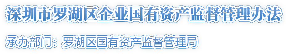 深圳市羅湖區企業(yè)國有資產(chǎn)監督管理辦法